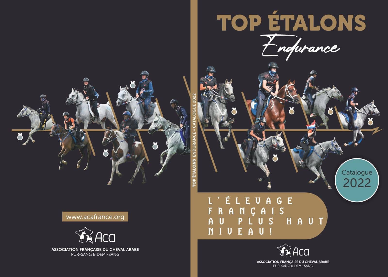 Top Etalons Endurance 2022
