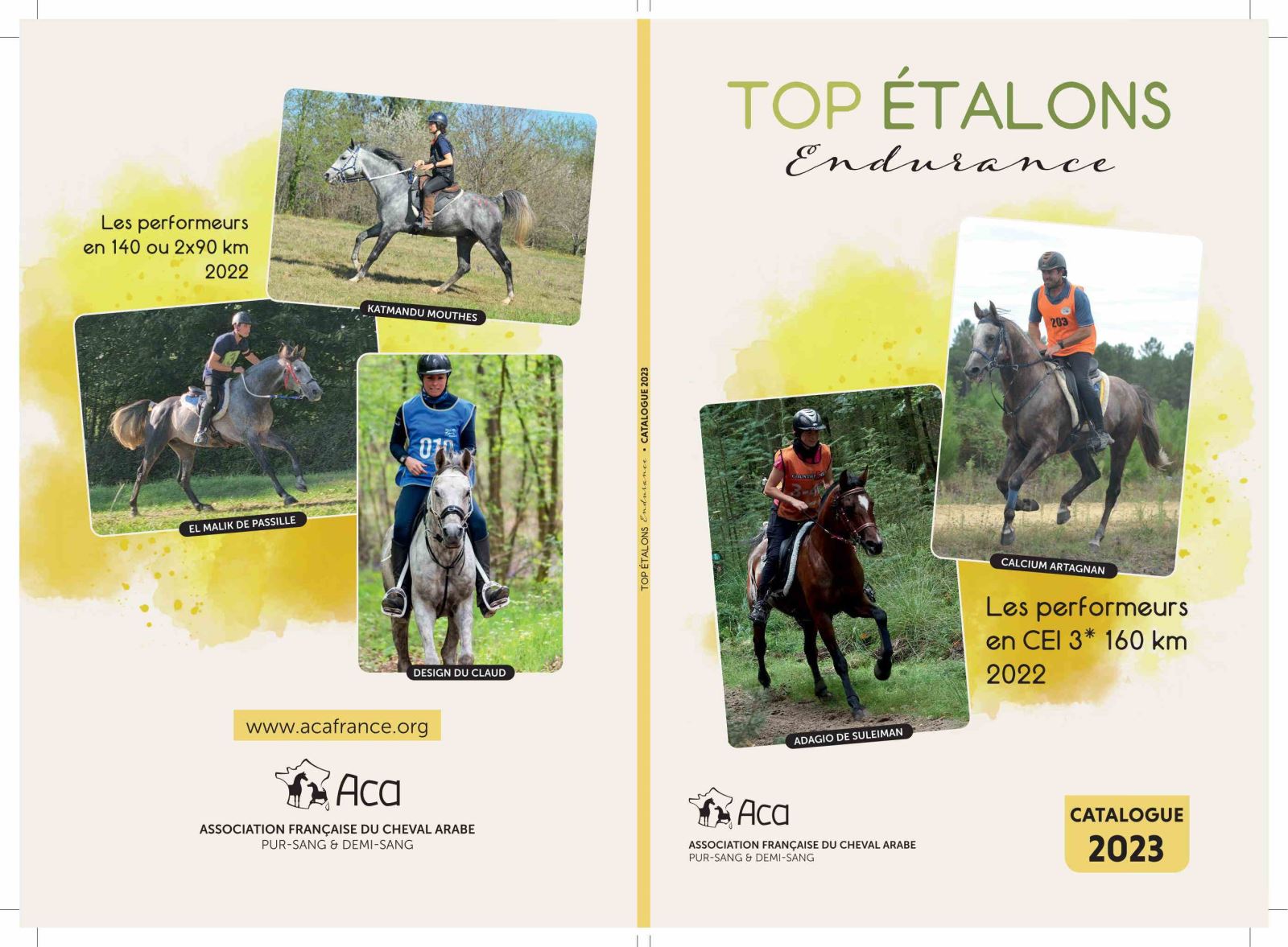 Diffusion du Catalogue "Top Etalons Endurance" 2024